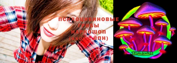 прущий лед Белоозёрский