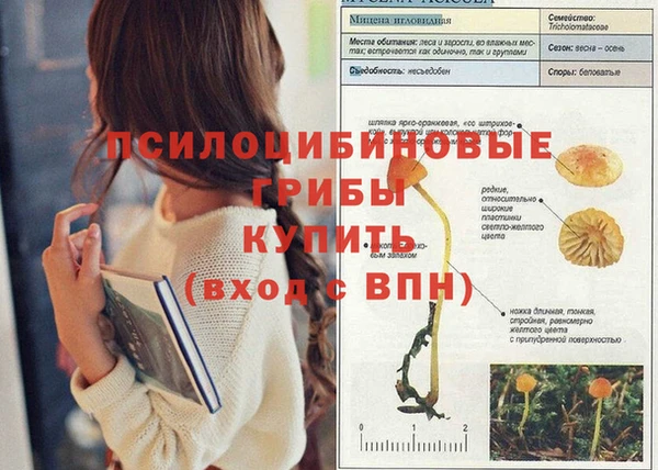 а пвп мука Белокуриха