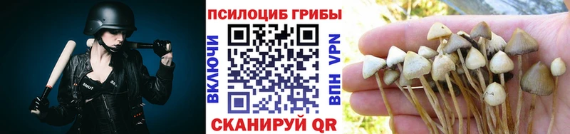 Псилоцибиновые грибы прущие грибы  Гаврилов-Ям 